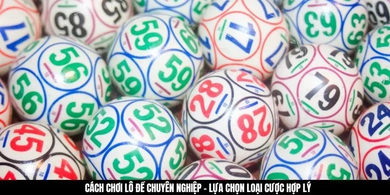 Cách chơi lô đề chuyên nghiệp - Lựa chọn loại cược hợp lý