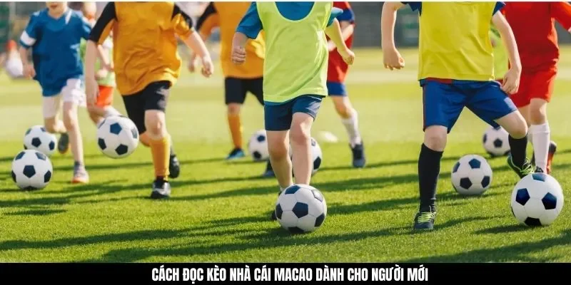 Cách đọc kèo nhà cái Macao dành cho người mới