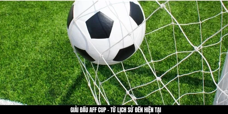 Giải đấu AFF Cup - Từ lịch sử đến hiện tại
