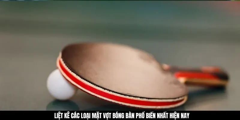 Liệt kê các loại mặt vợt bóng bàn phổ biến nhất hiện nay