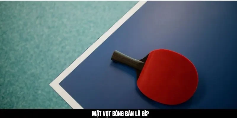 Mặt vợt bóng bàn là gì?