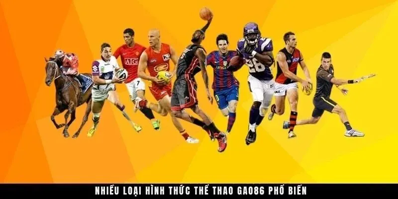 Nhiều loại hình thức thể thao GAO86 phổ biến 