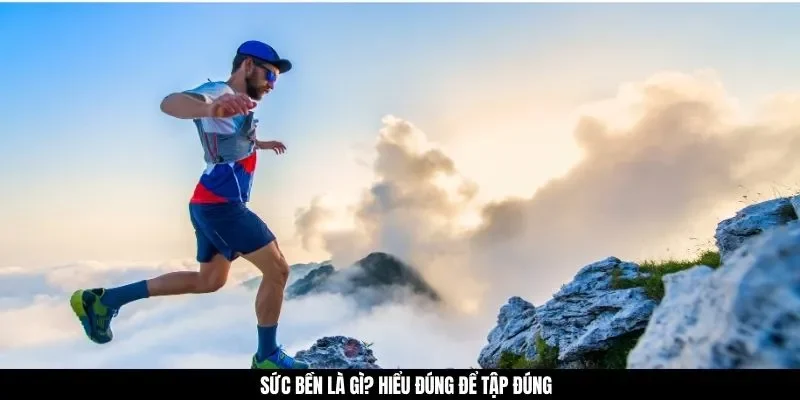Sức bền là gì? Hiểu đúng để tập đúng
