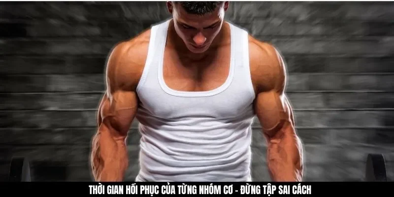 Thời gian hồi phục của từng nhóm cơ - Đừng tập sai cách