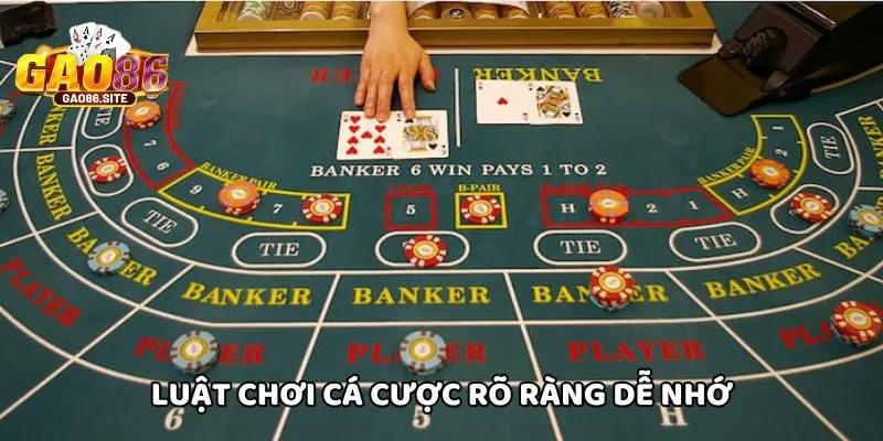 Quy tắc cược dễ nhớ, công khai minh bạch